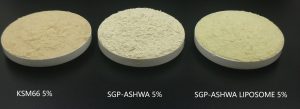 Liposomal Ashwagandha
